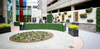 Outdoor Hedges for Norton Healthcare