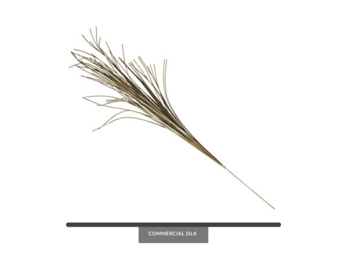 Bear Grass Foliage   ID# GBR#36O