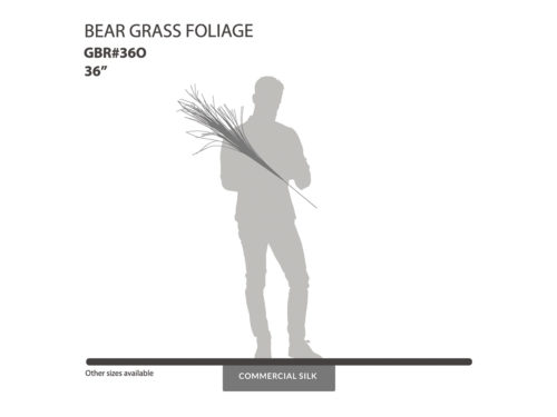 Bear Grass Foliage   ID# GBR#36O
