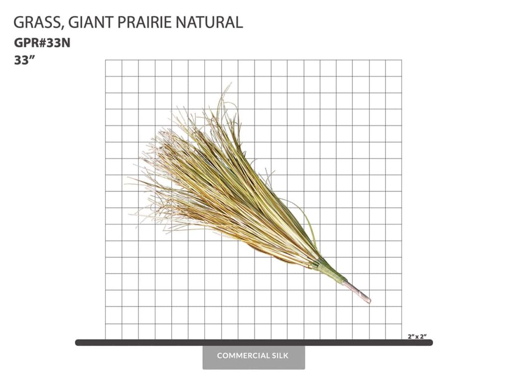 Prairie Grass Bush, Natural ID# GPR#33N