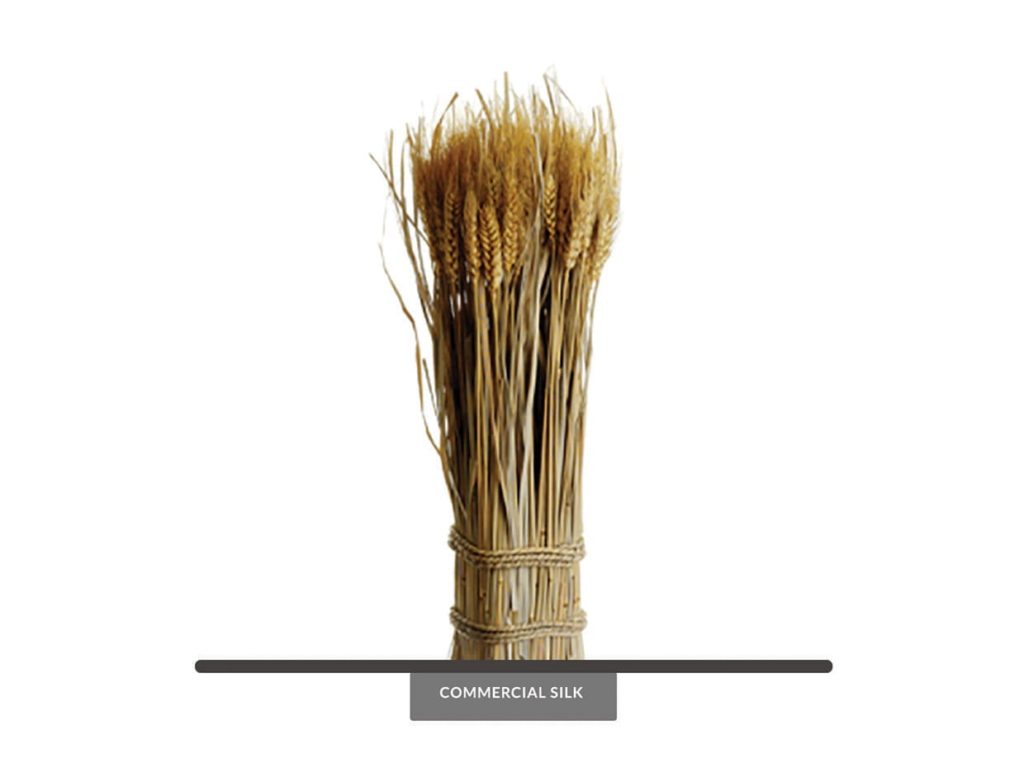 Preserved Wheat Bundles