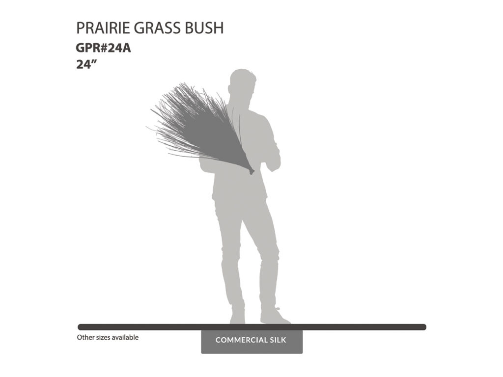 Prairie Grass Bush ID# GPR#24A