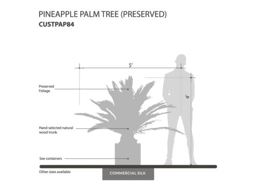 Pineapple Palm Tree, Preserved ID# CUSTPAP84