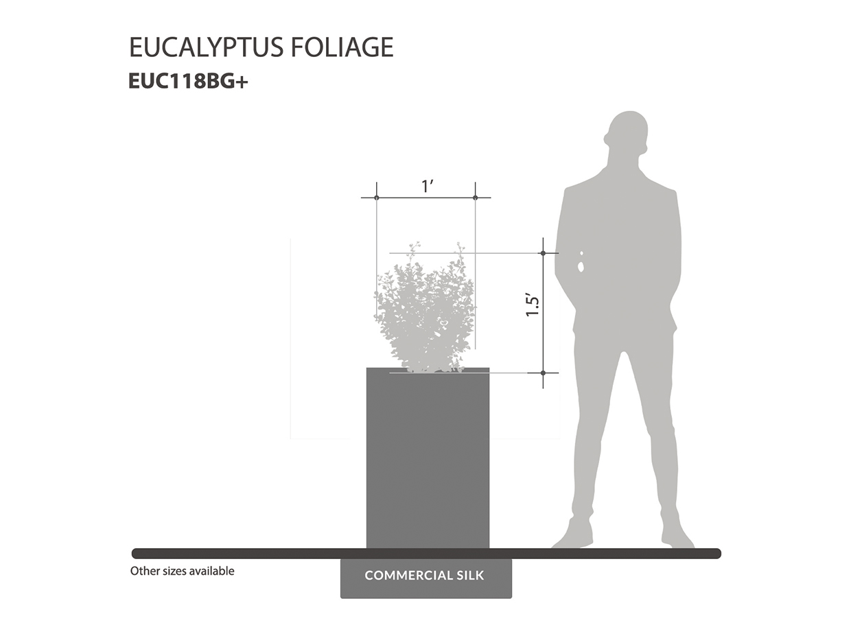 Eucalyptus Bush (burgundy/green) (exterior) ID# EUC118BG+