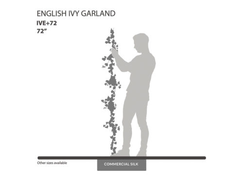 English Ivy Garland ID# IVE+72
