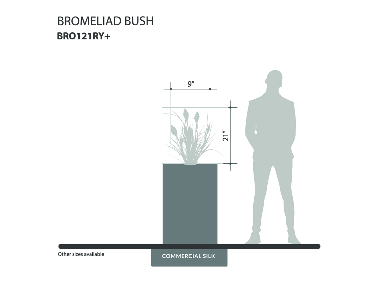 Outdoor Bromeliad Bush ID# BRO121RY+