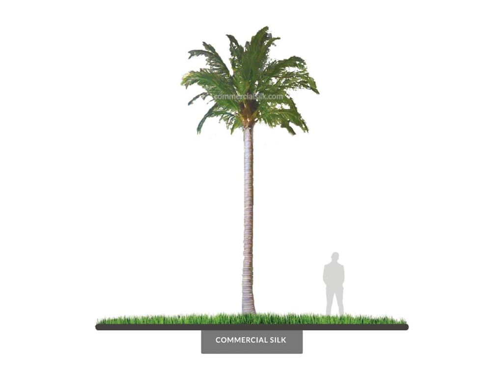 Coconut Palm Tree, 22' ID# 14786