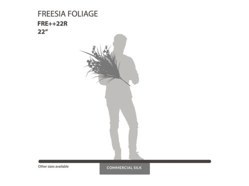 Freesia Bush Foliage ID# FRE++22R