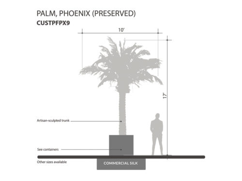 Phoenix Palm Tree, Preserved ID# CUSTPFPX9
