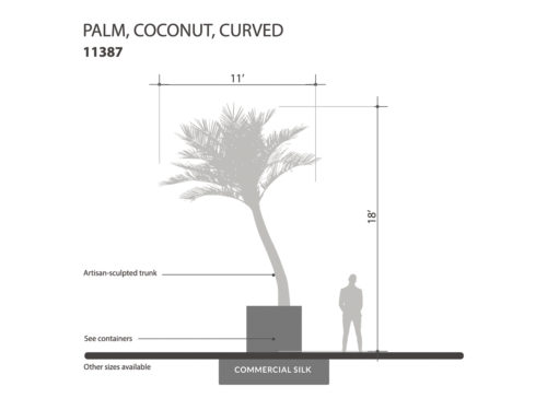 Coconut Palm Tree Curved ID# 11387