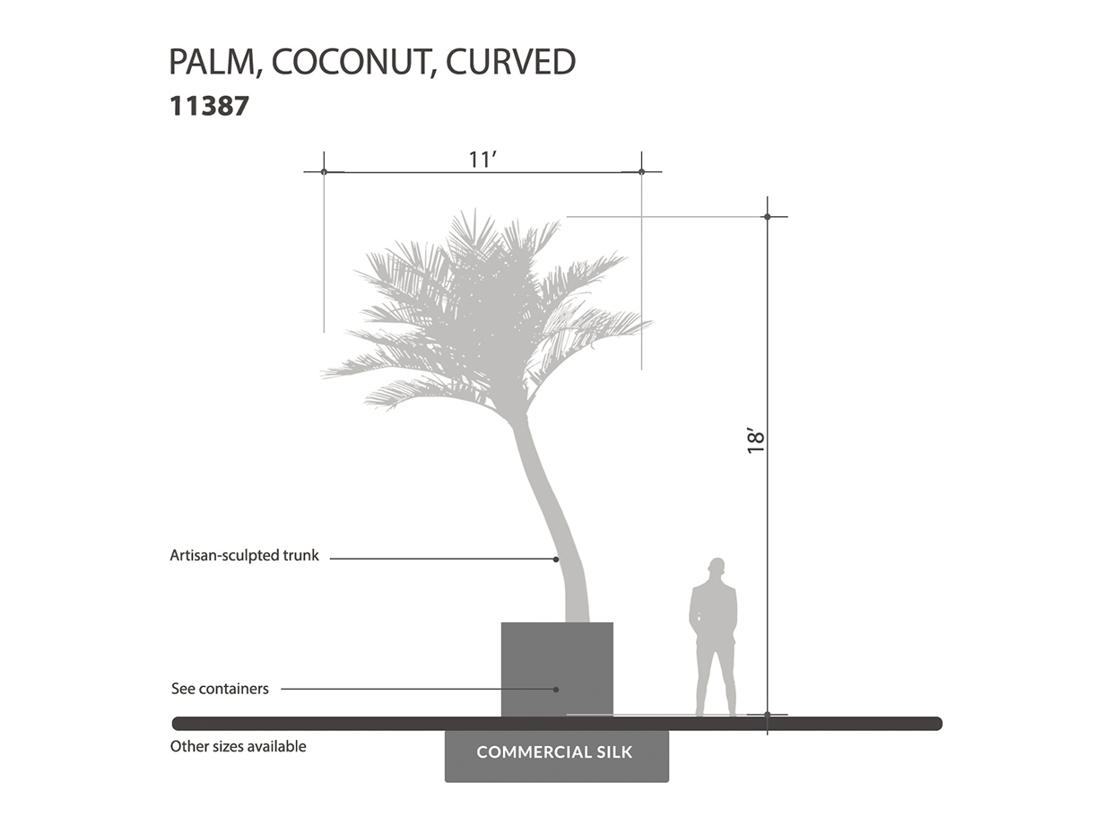 Coconut Palm Tree Curved ID# 11387