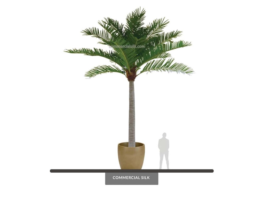 Coconut Palm Tree, 24' ID# 11387
