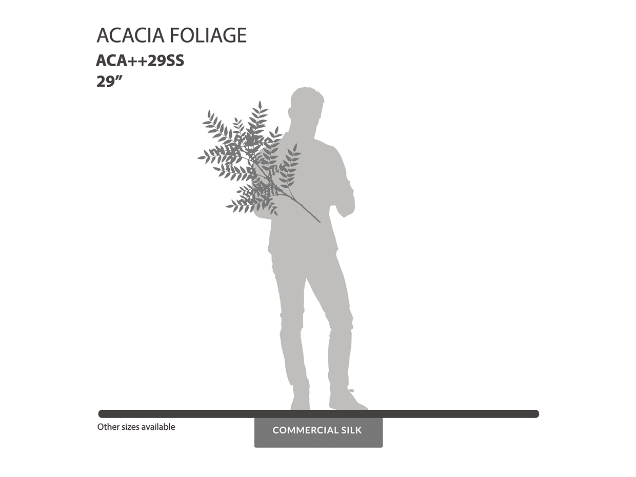 Acacia Fake Foliage  ID# ACA++29SS