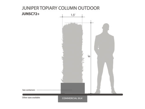 Juniper Topiary Column ID# JUNSC72+