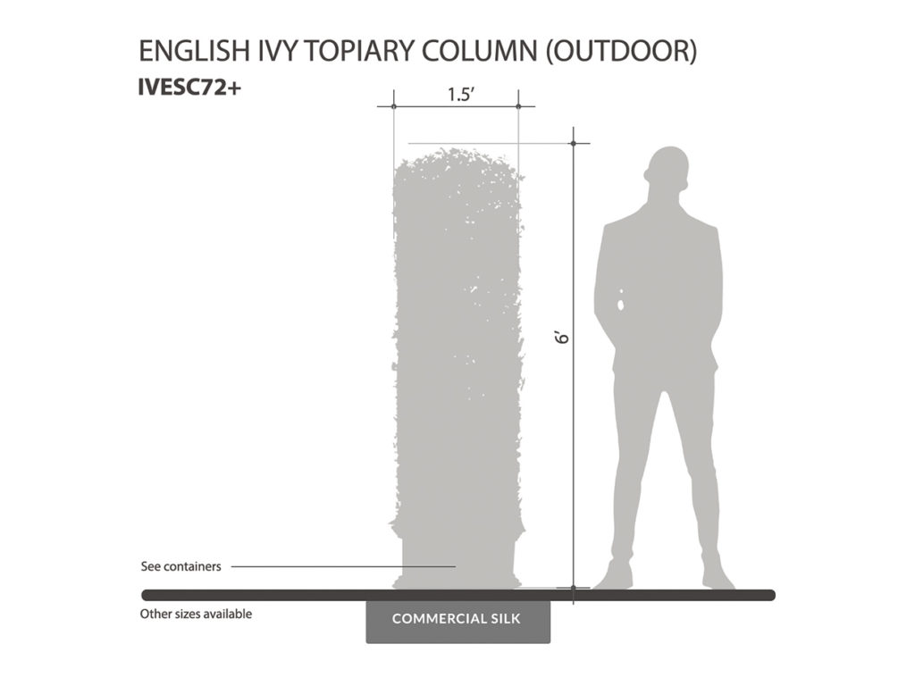 English Ivy Topiary Column ID# IVESC72+