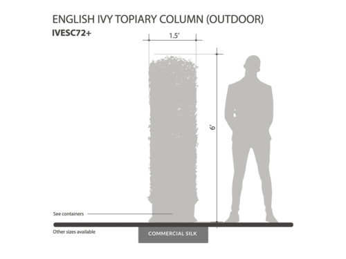 English Ivy Topiary Column ID# IVESC72+
