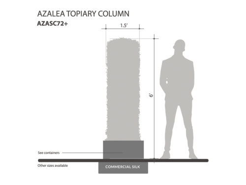 Azalea Topiary Column ID# AZASC72+