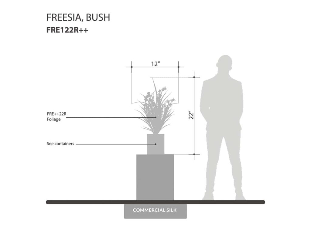 Bush Freesia Plant ID# FRE122R++