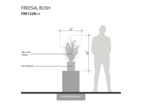 Bush Freesia Plant ID# FRE122R++
