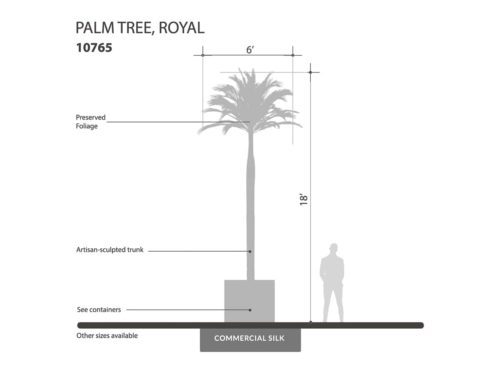 Royal Palm Tree ID# 10765