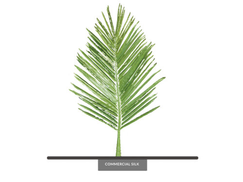 Coconut Palm Frond ID# LGTP#24