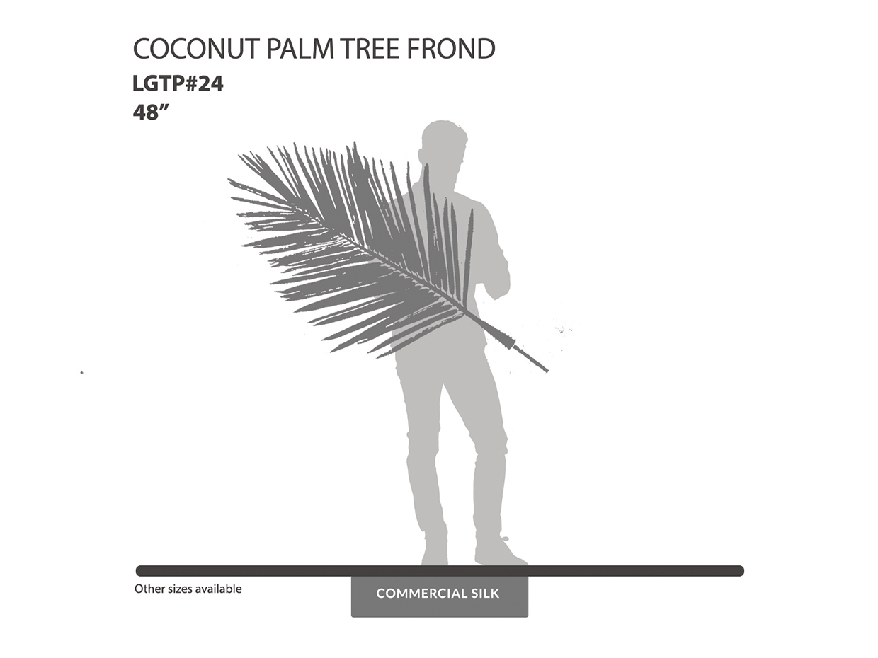 Coconut Palm Frond ID# LGTP#24