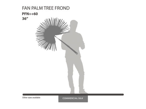Fan Palm Frond ID# PFN++60