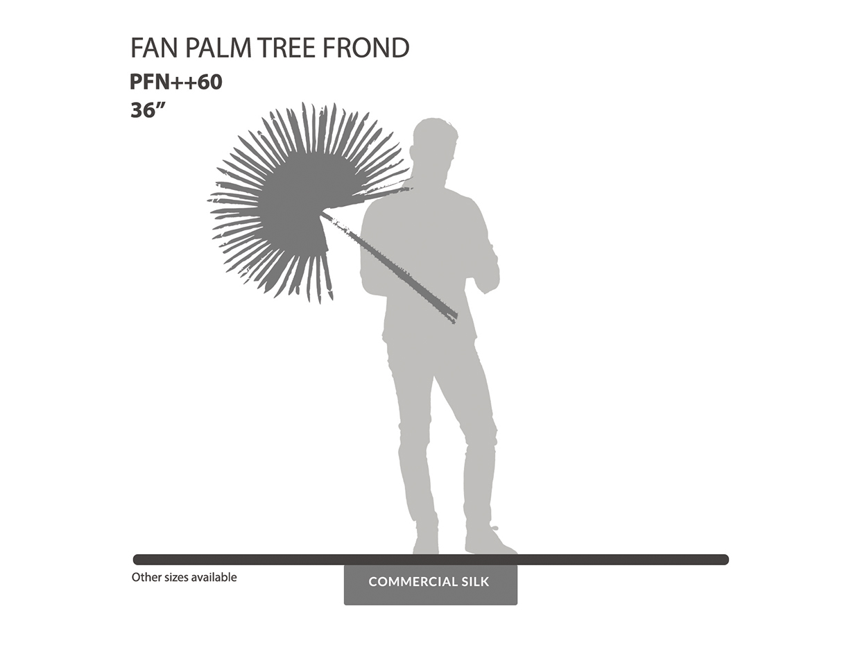 Fan Palm Frond ID# PFN++60