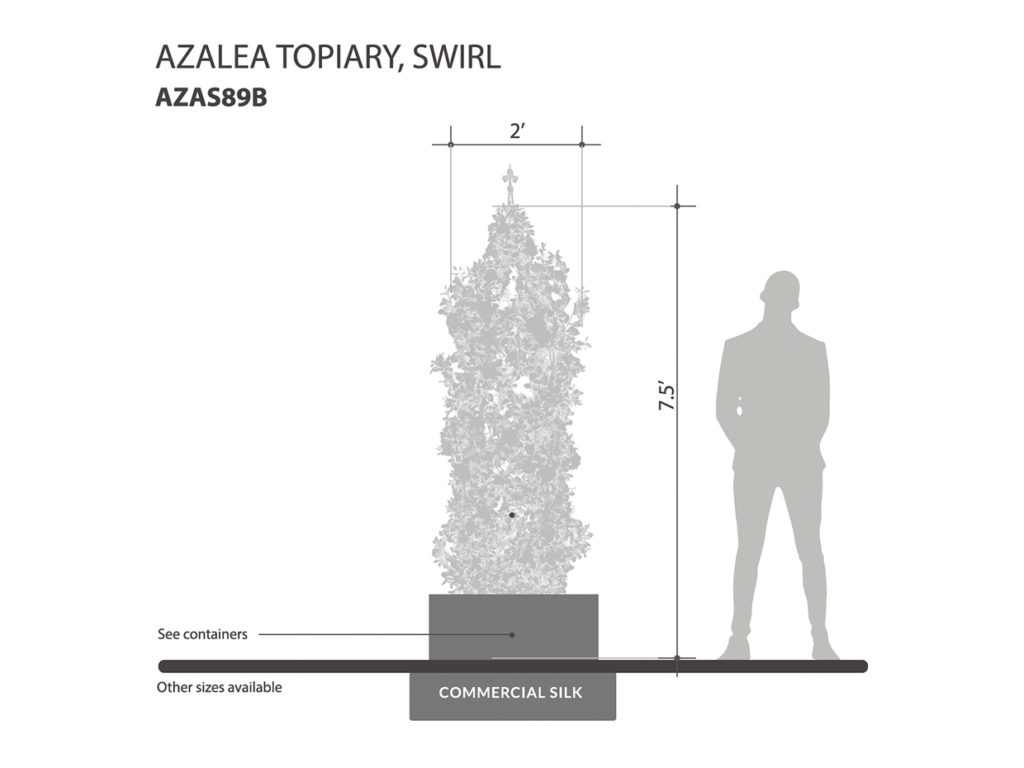 Azalea Topiary Swirl ID# AZAS89B