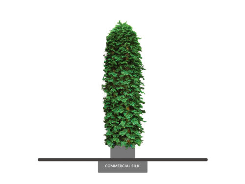 Cedar Column, Privacy Column ID# 4848