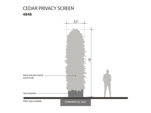 Cedar Column, Privacy Column ID# 4848