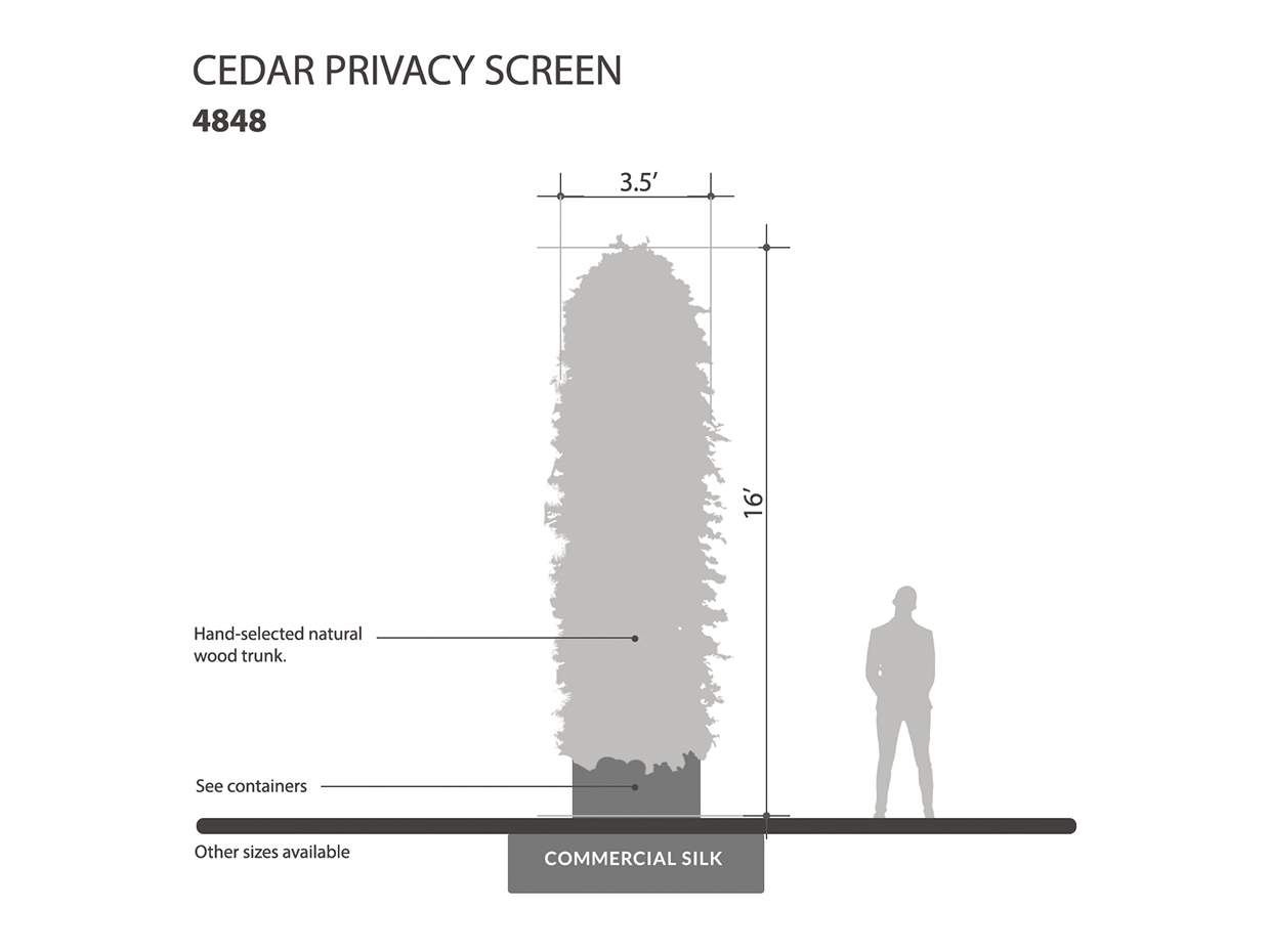 Cedar Column, Privacy Column ID# 4848