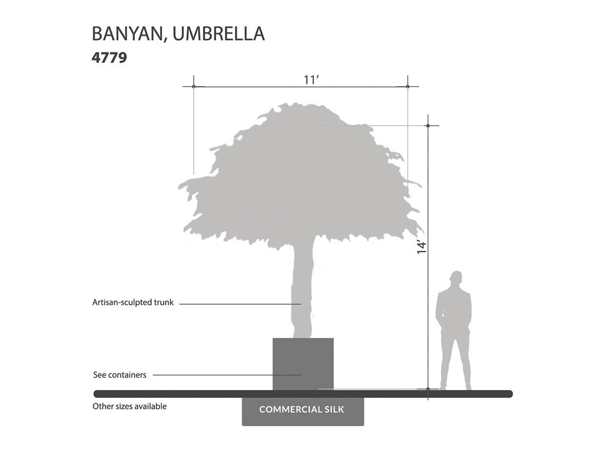 Banyan Tree, Umbrella ID# 4779
