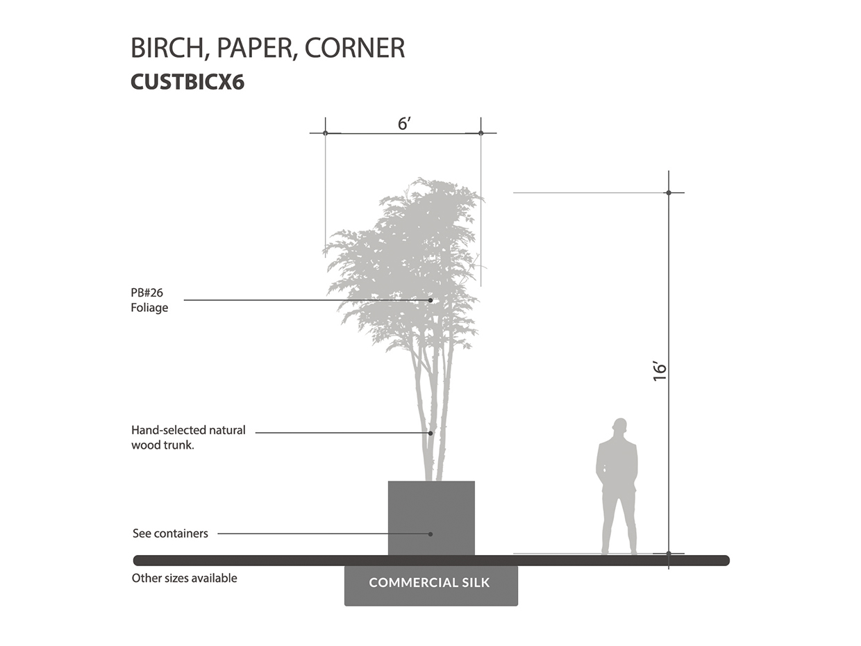 Birch Tree, Corner ID# CUSTBICX6