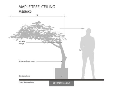 Maple Tree, Ceiling Tree ID# MSSMX0
