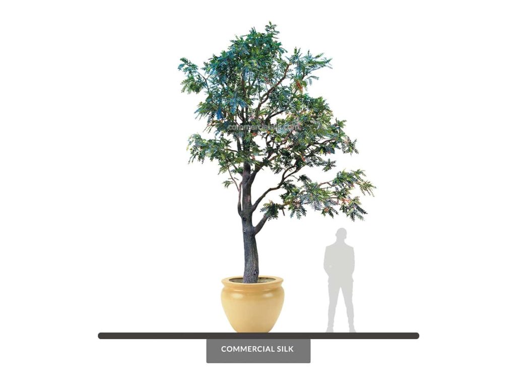 Honey Locust Tree, 18' ID# LOCSX0