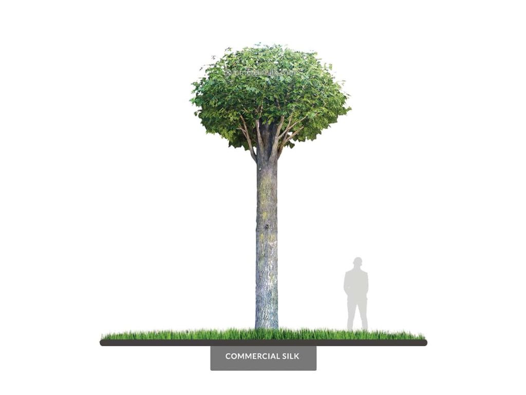 Red Oak Tree Column Wrap ID# 8096