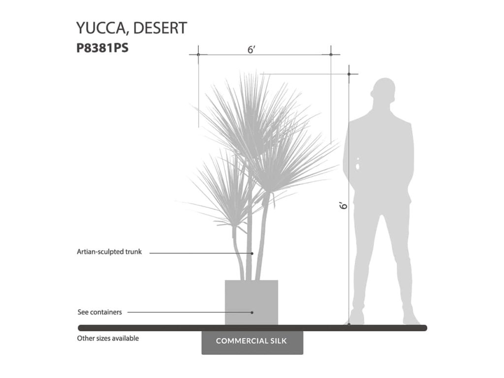 Desert Yucca Tree ID# P8381PS