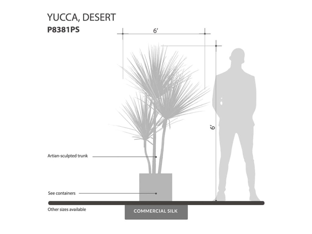 Desert Yucca Tree ID# P8381PS