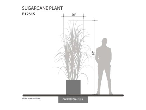 Sugarcane - Decorative Faux Plants ID# P1251S