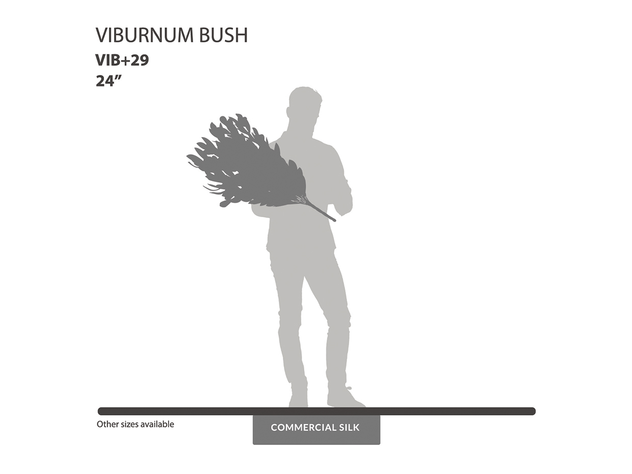 Viburnum Bush Foliage (exterior) ID# VIB+29