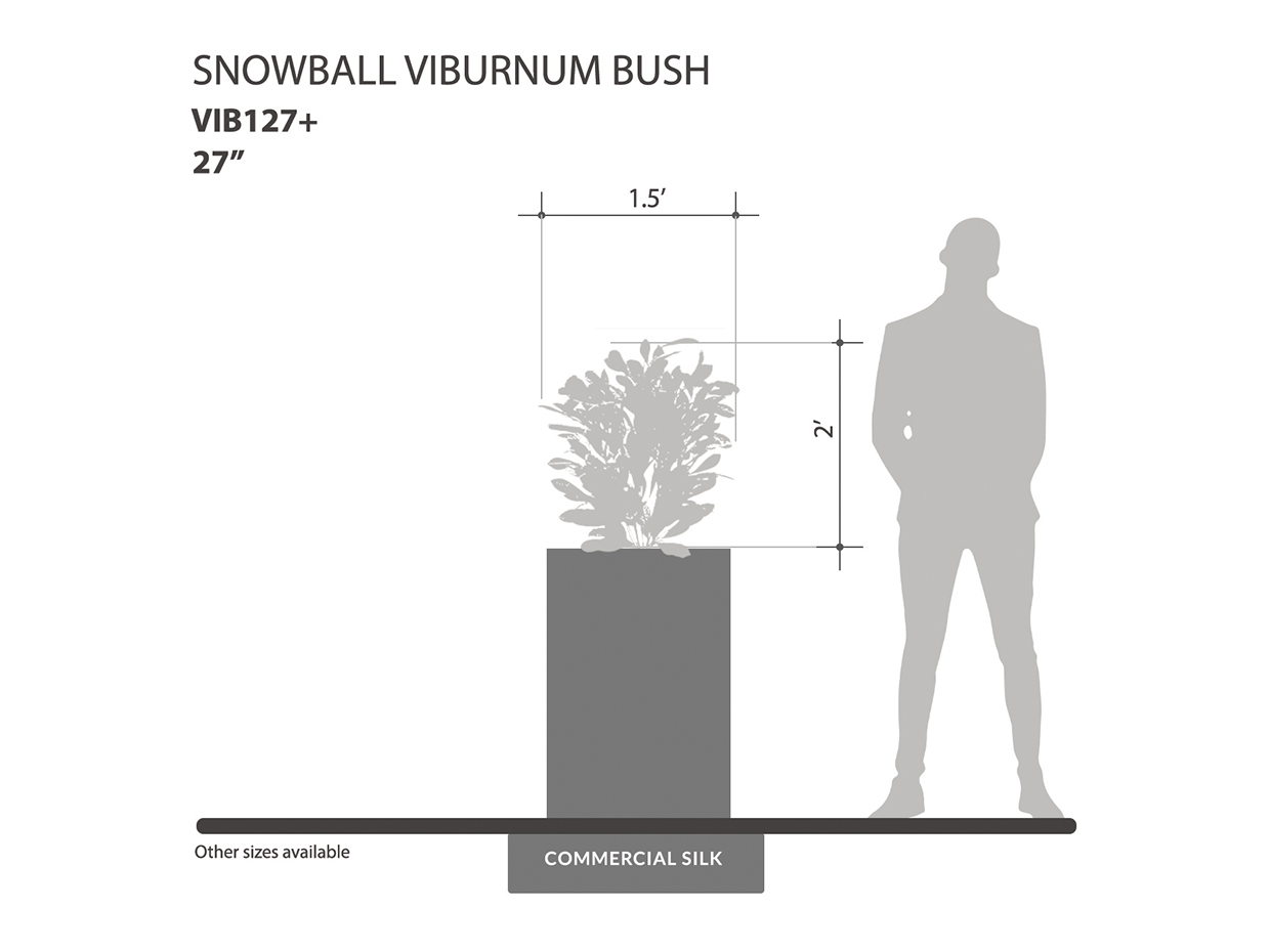 Snowball Viburnum Bush (exterior) ID# VIB127+
