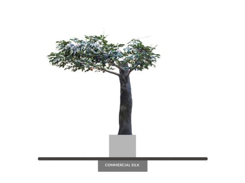 Apple Tree, Corner ID# CUSTFRAC96
