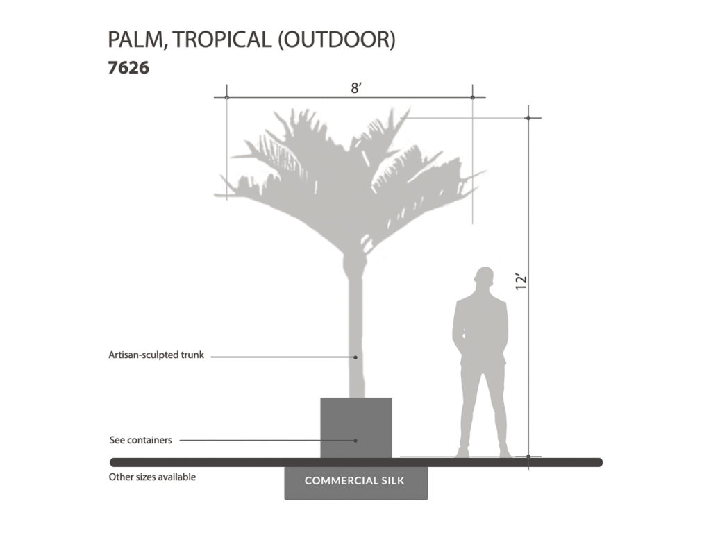 Tropical Palm Tree, Outdoor ID# 7626