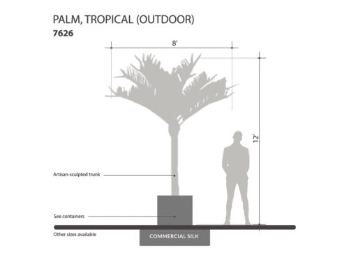 Tropical Palm Tree, Outdoor ID# 7626