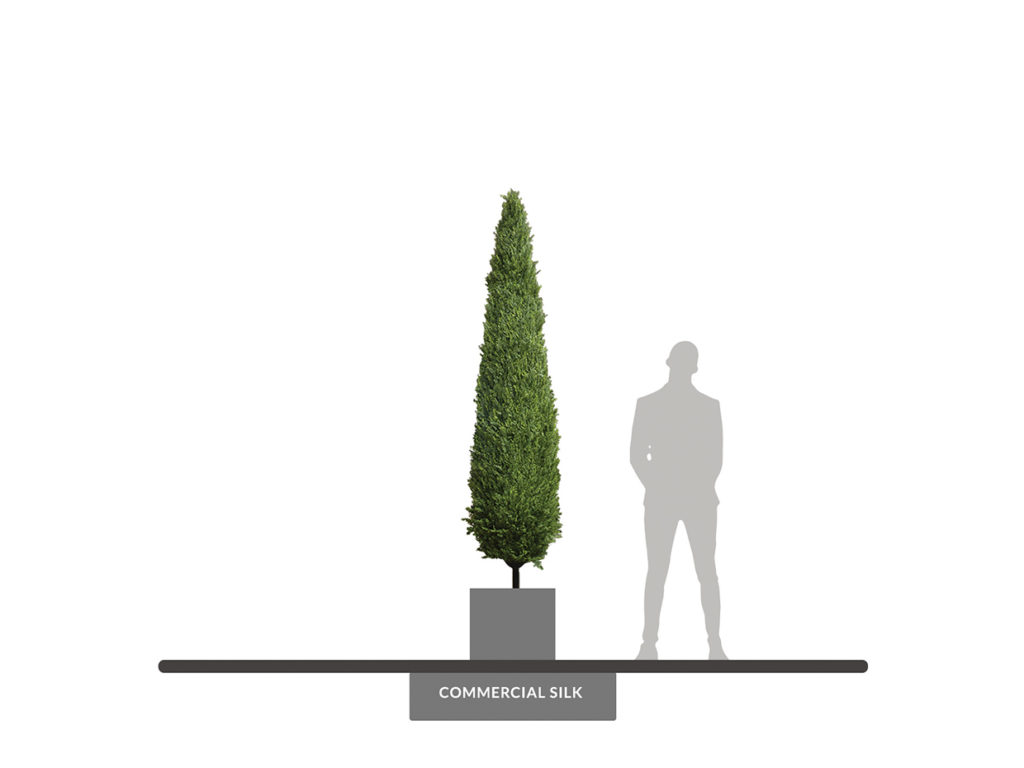 Cypress Column, Topiary ID# 13690