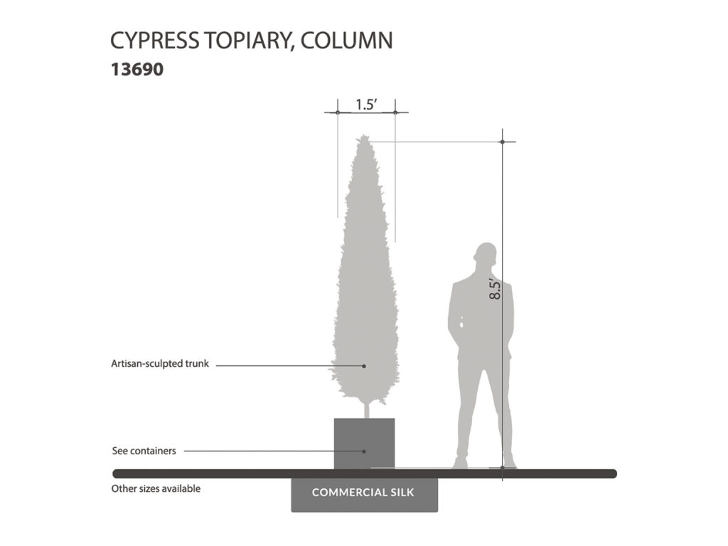 Cypress Column, Topiary ID# 13690