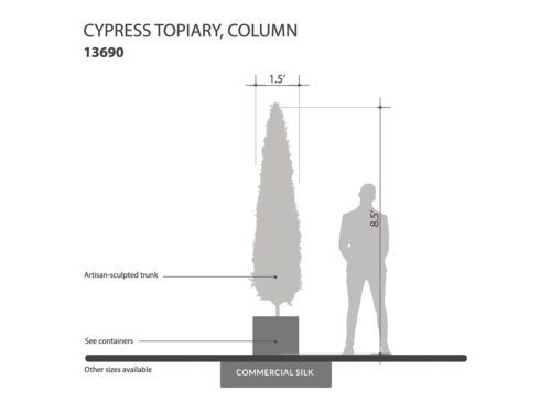 Cypress Column, Topiary ID# 13690