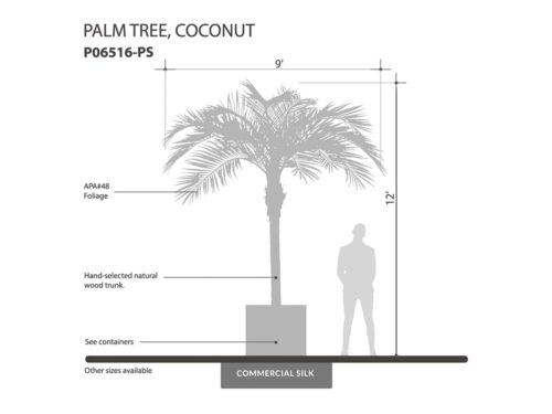 Coconut Palm Tree ID# P06516-PS