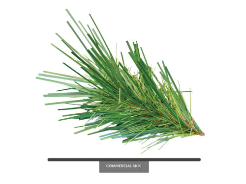 Cell Tower Pine Spray ID# PCT+12